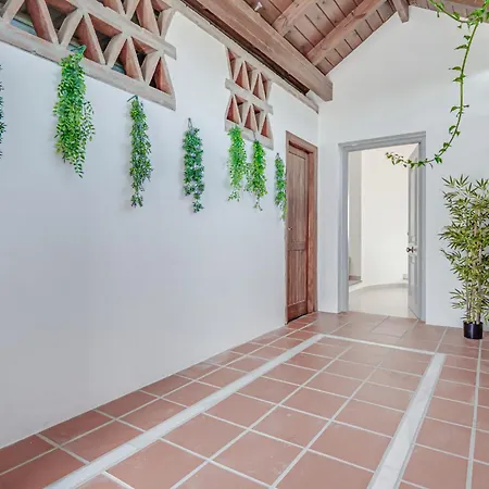 Serena Marbella-elviria